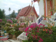 Thailand 2007 093