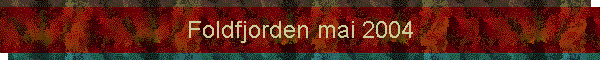 Foldfjorden mai 2004